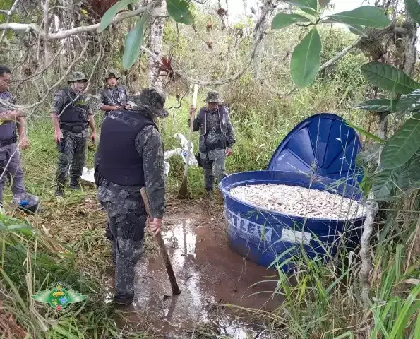 Polícia Ambiental do Vale do Ribeira localiza quatro toneladas de pescados irregulares em Iguape