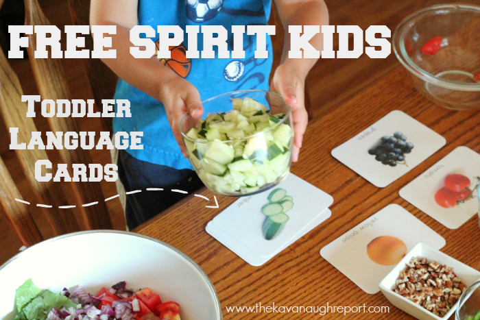 Free Spirit Kids Toddler Language Cards with Giveaway!