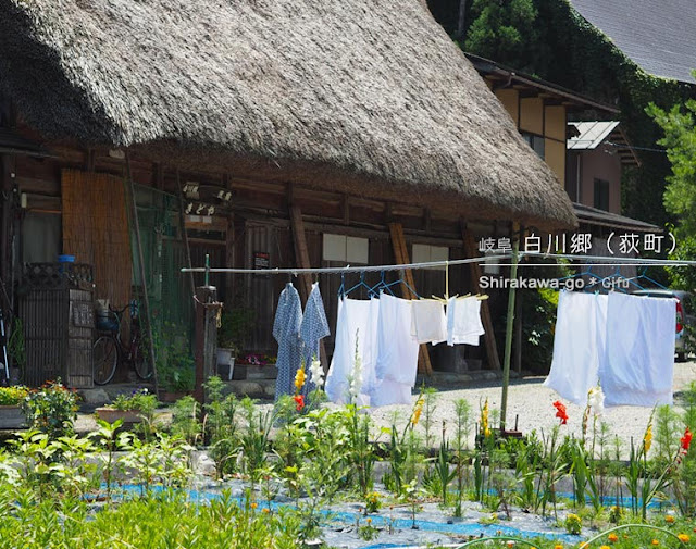 白川郷 荻町合掌造り集落（夏の風景）