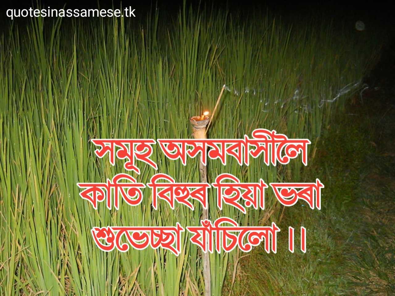 Assamese Kati Bihu Wishing Status Images for Whatsapp and Facebook
