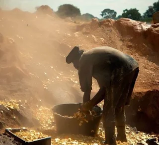 Illegal Gold Mining to Make a Living in Zimbabwe