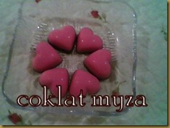 Coklat 5.3.2011 109