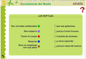 http://www.ceiploreto.es/sugerencias/A_1/Recursosdidacticos/SEGUNDO/datos/03_cmedio/03_Recursos/actividades/03/act7.htm