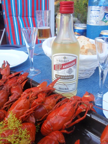 Semestern 2011 002