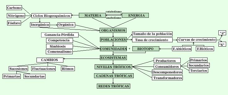 biogeo_4º_eso TEMA 8 MAPA DE CONCEPTOS