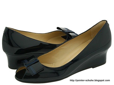 Pointer schuhe:P579-290209