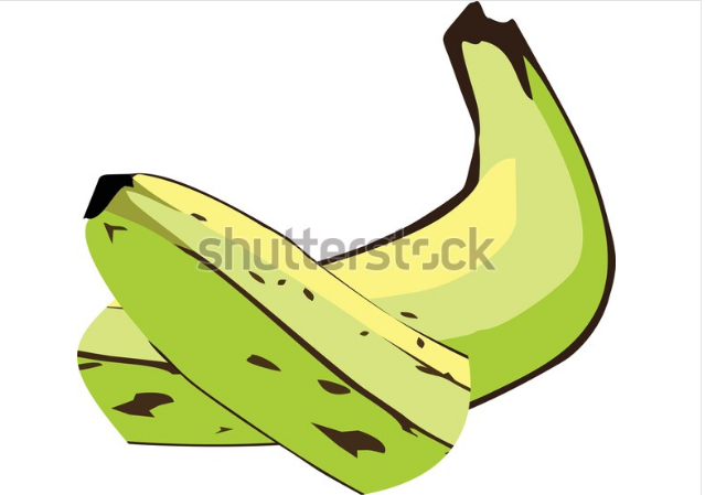 illustration drawing bannana