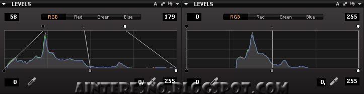 Capture One - Levels