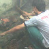 Mancing