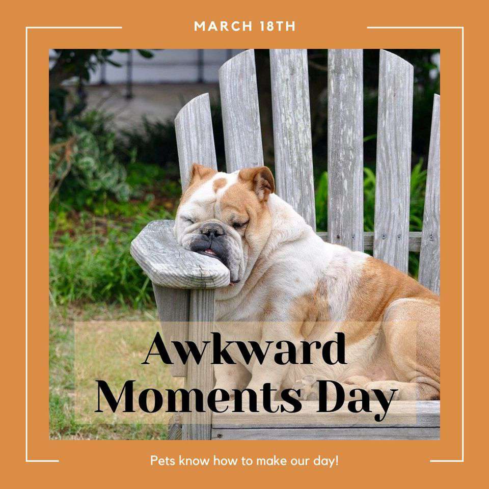 Awkward Moments Day Wishes Awesome Images, Pictures, Photos, Wallpapers