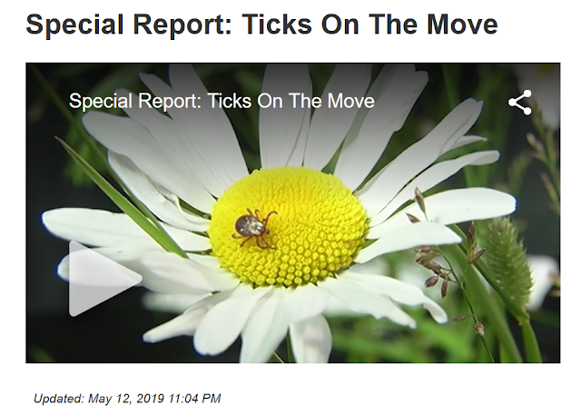 https://www.wdio.com/weather/ticks-on-the-move/5348635/