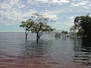 o Rio Negro! Com sua imensidão e beleza no horizonte (bxk rio negro ariau am )