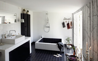 Cool Black And White Bathroom Design