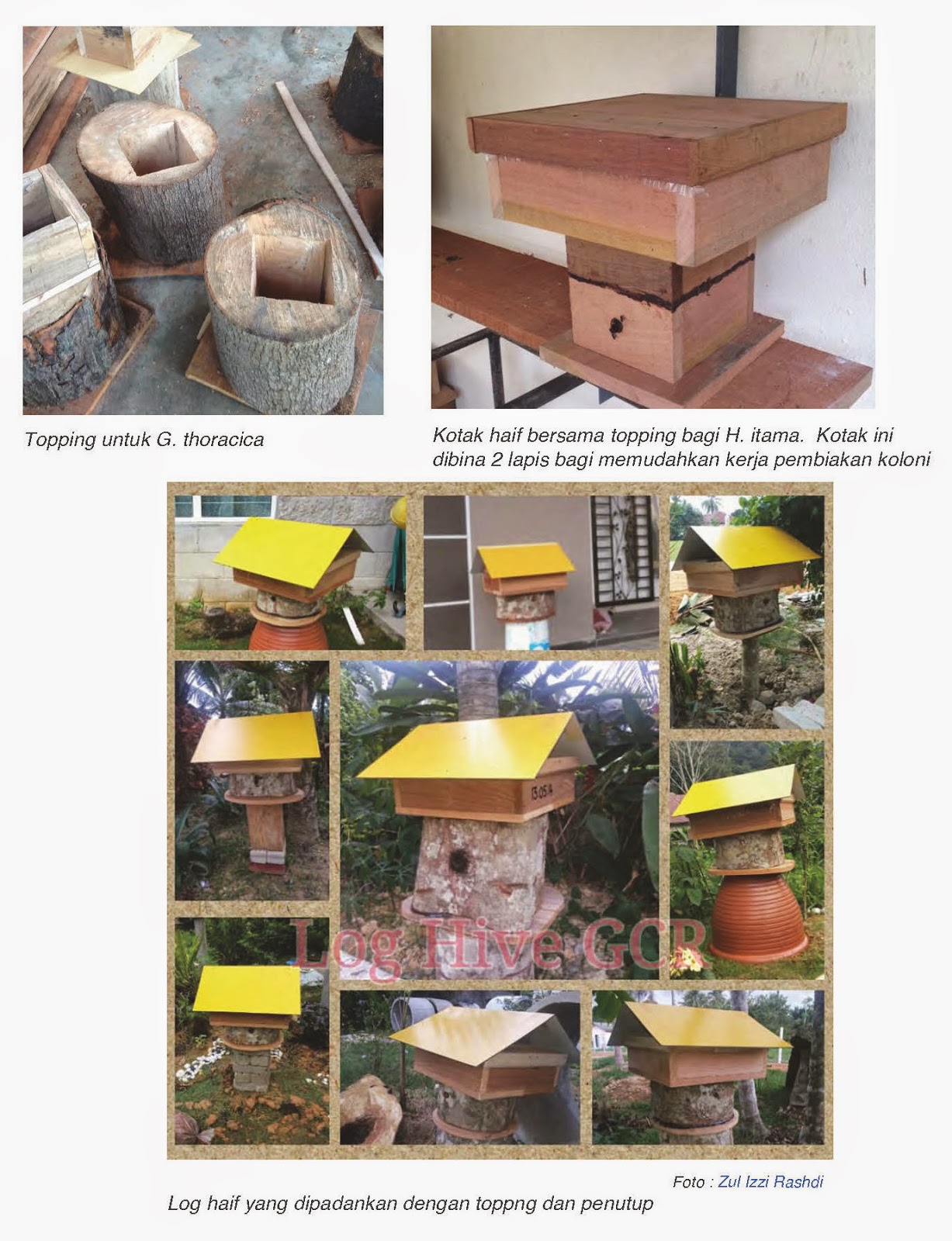  Ukuran  Saiz Kotak  Haif Lebah Kelulut  MARDI Kelab Lebah 