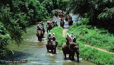 Safari Gajah, Pulau Bali