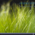 Windows XP SP3 Neomax Edition 2016