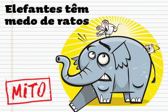 Resultado de imagem para elefante com medo de rato