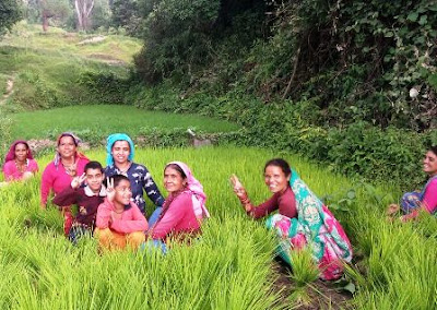 कृषि के माध्यम से सशक्त होती ग्रामीण महिलाएं