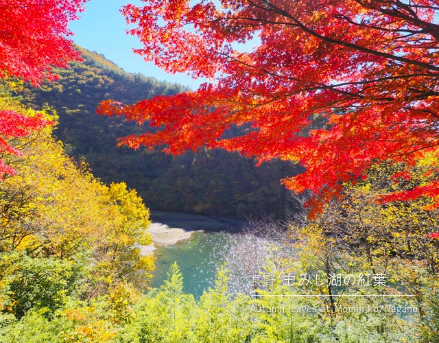 [長野] もみじ湖の紅葉まつり