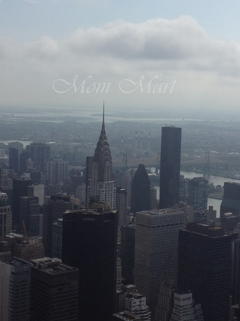 The View from the Empire State Building