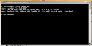 Java Version