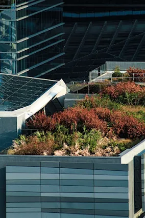 Green roof in Miami