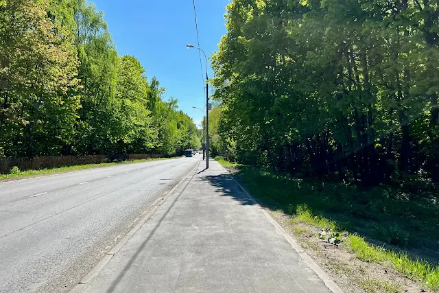 Староволынская улица, Матвеевский лес