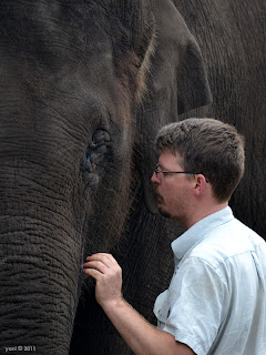 the elephant whisperer