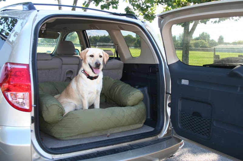 angled view of cabana in the car, with lush green fields viewed through the windows