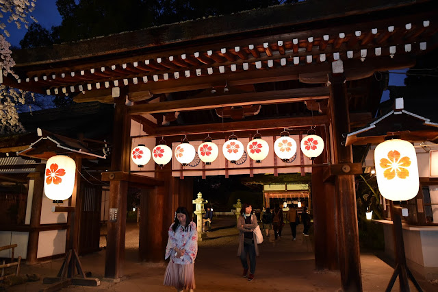日本京都平野神社櫻花