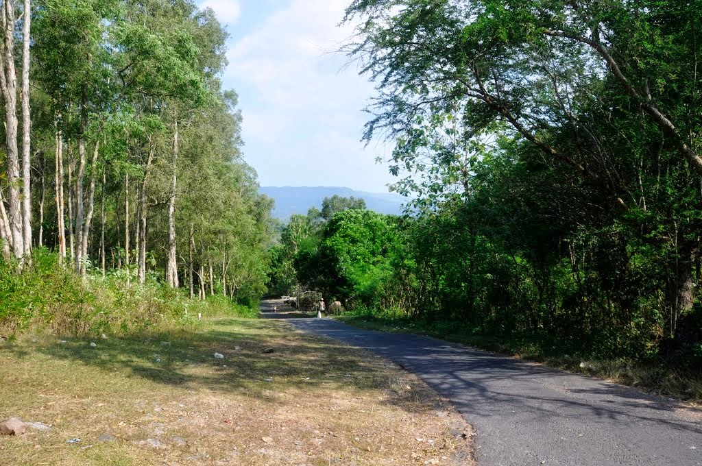 Desa Wisata Wukirsari Bantul Daerah  Istimewa  Yogyakarta  