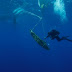 В Егейско море откриха следи от гигантски за времето си елински кораб