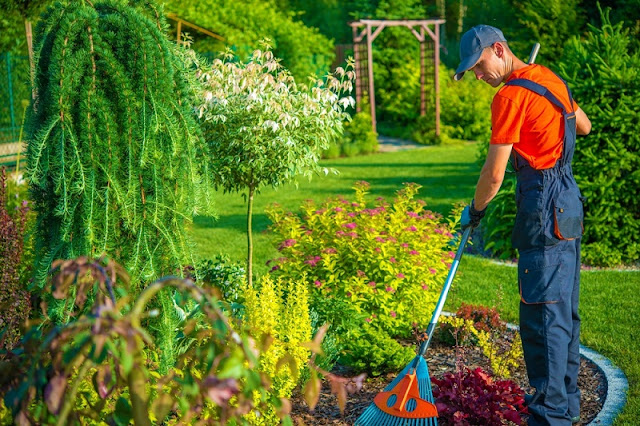 Garden Maintenance