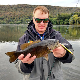 susquehanna smallmouth bass