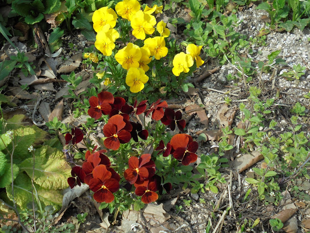 ペンション街入り口の花壇