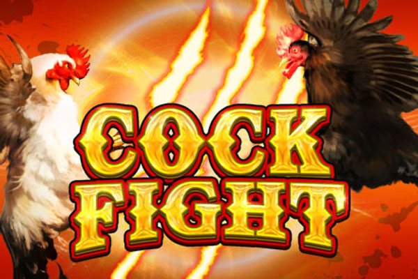 Cock Fight Slot Demo