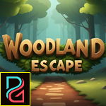 Palani Games  Woodland Es…