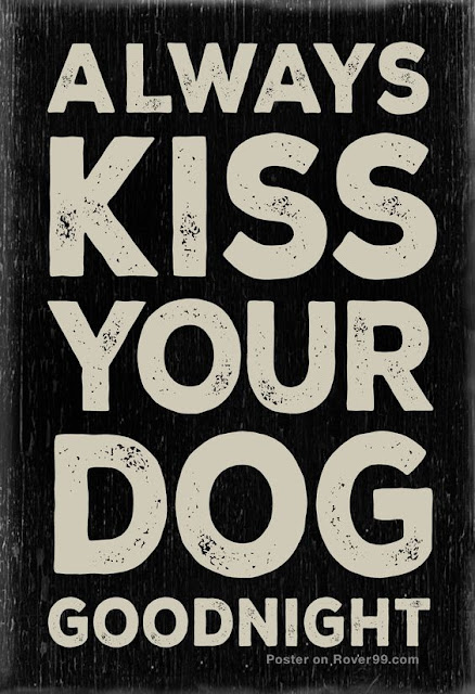 For dog lovers Always Kiss Your Dog Goodnight – Dog Quote