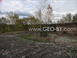 Trees on the roof of the sanatorium in Nowe Pole