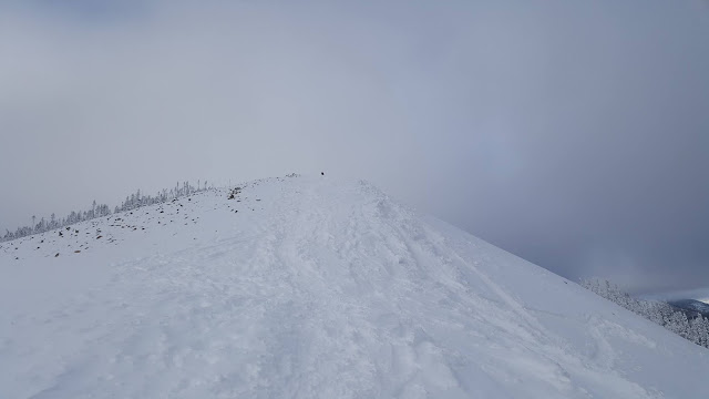 Sentier pour le mont Hog's Back