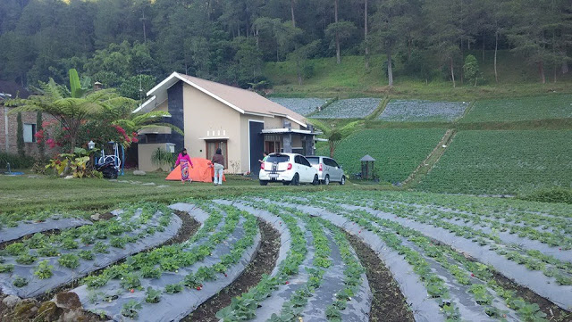 Villa Budi luhur Sekipan Tawangmangu