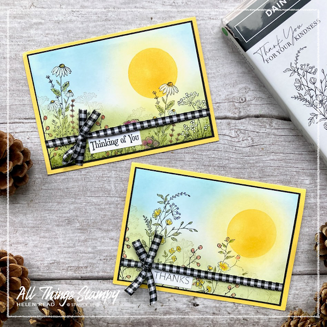 Stampin Up Blending Brushes Dainty Delight card ideas