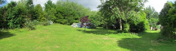 pano2