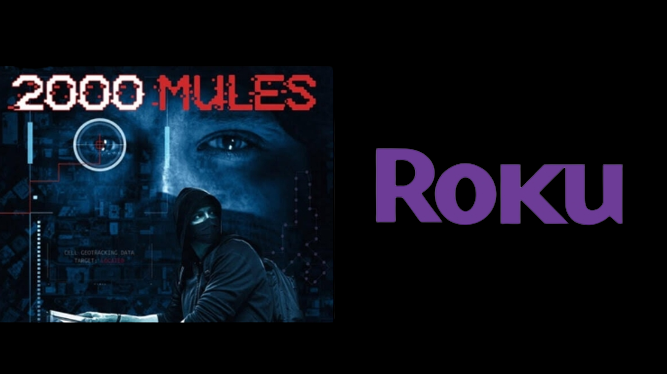 How to Watch 2000 Mules on Roku [5 Ways]