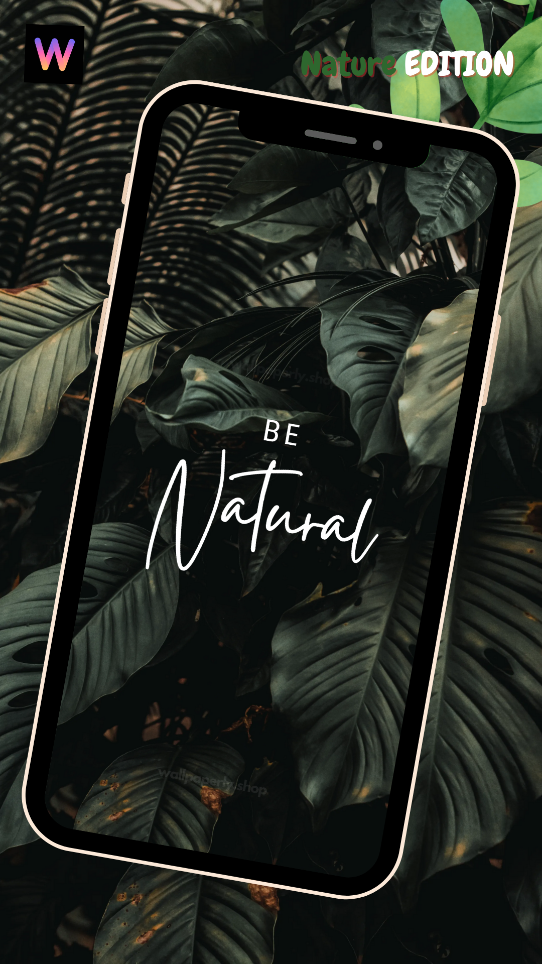 NATURE Inner Reflection - Wallpaper For Phone (Wallpaperly) NATURE Inner Reflection - Wallpaper For Phone (Wallpaperly)