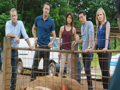 http://www.examiner.com/article/hawaii-five-0-cbs-danno-goes-undercover-as-a-college-teacher-to-catch-a-killer