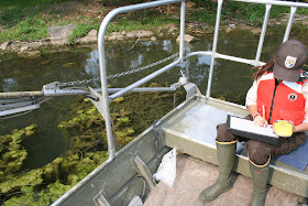 Biologist on electrofisher