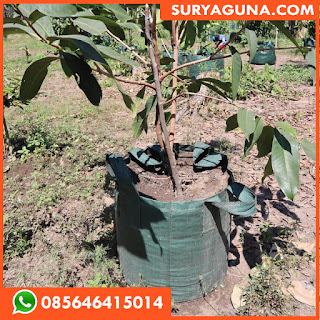 Jual Planter Bag 100 Liter Planter Bag Durian