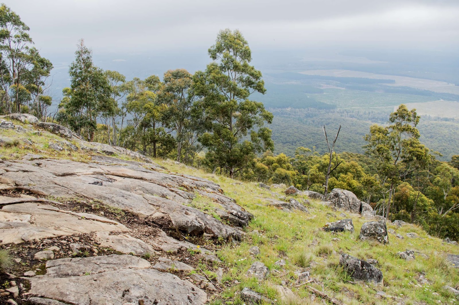 Mt Macedon