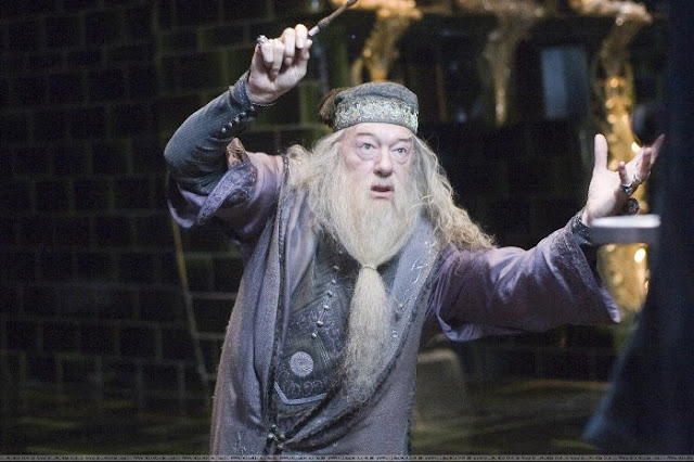 harry potter dumbledore